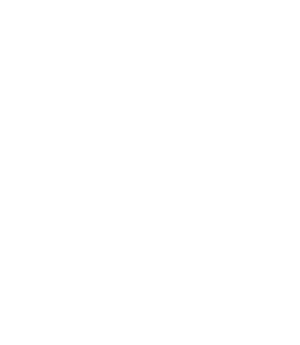 AEBSL — Associação de Empresas do Bairro São Luís